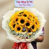 bo hoa huong duong 104
