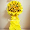 hoa chuc mung khai truong 29