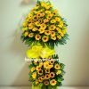 hoa chuc mung khai truong 43
